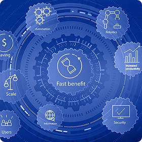 Business Process Optimization & Automation